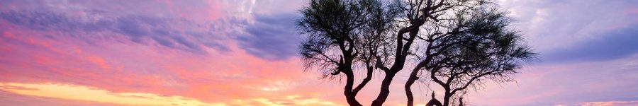 western-australia-ute-canopy